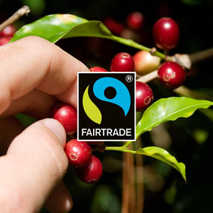 Gourmesso - Eco Line - Lungo Arabica Forte - 10 Capsules - Organic-Gourmesso