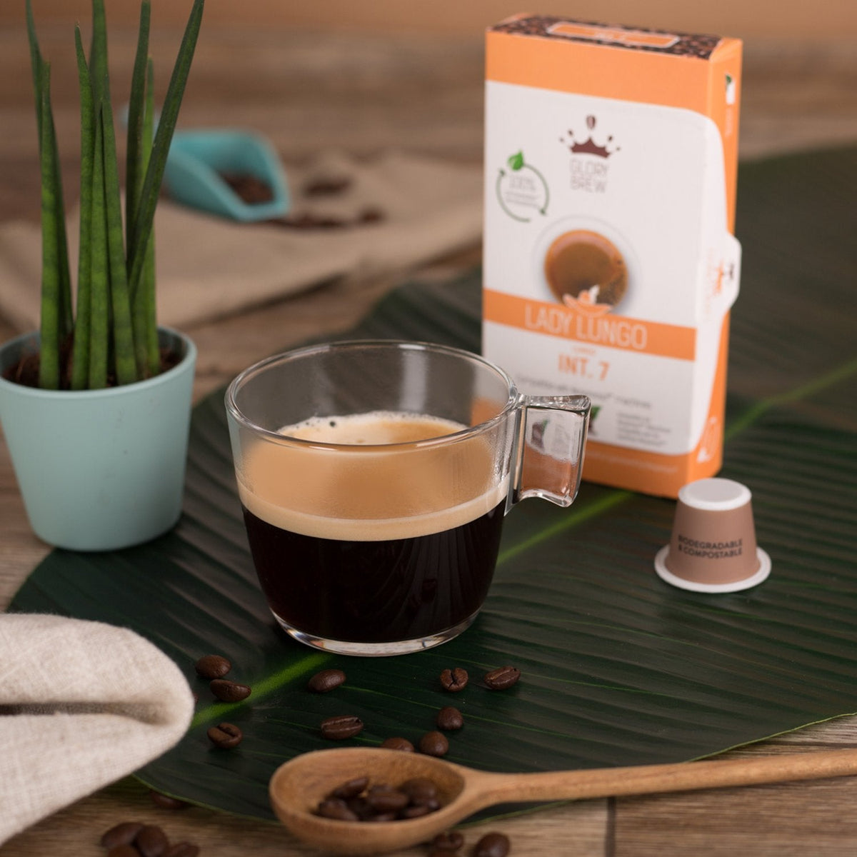 გლორიბრუ ლეიდი ლუნგო - ბიოდეგრადირებადი კაფსულები