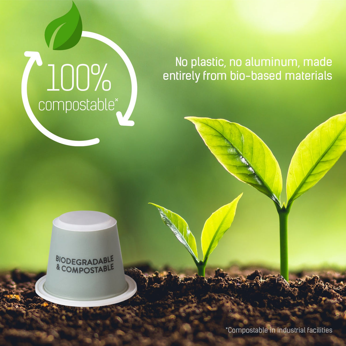 გლორიბრუ ვაიკონტ ვანილი - ბიოდეგრადირებადი კაფსულები