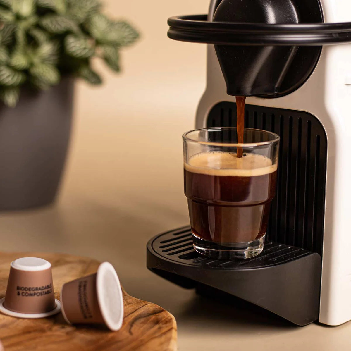 Café capsules Compatibles Nespresso Espresso 100% arabica CARREFOUR EXTRA