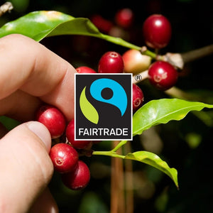 Gourmesso Colombia Pura Forte - Fairtrade - 10 Pods-Gourmesso